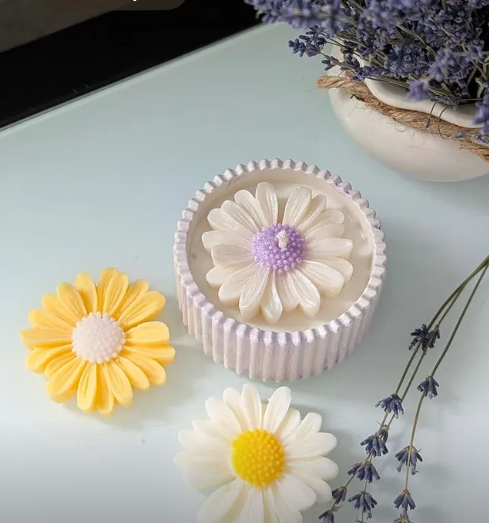 Ромашки в кашпо